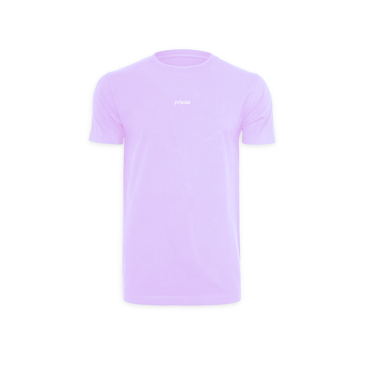 Philippians 4:13 - T-shirt (Lila Purple x Purple)