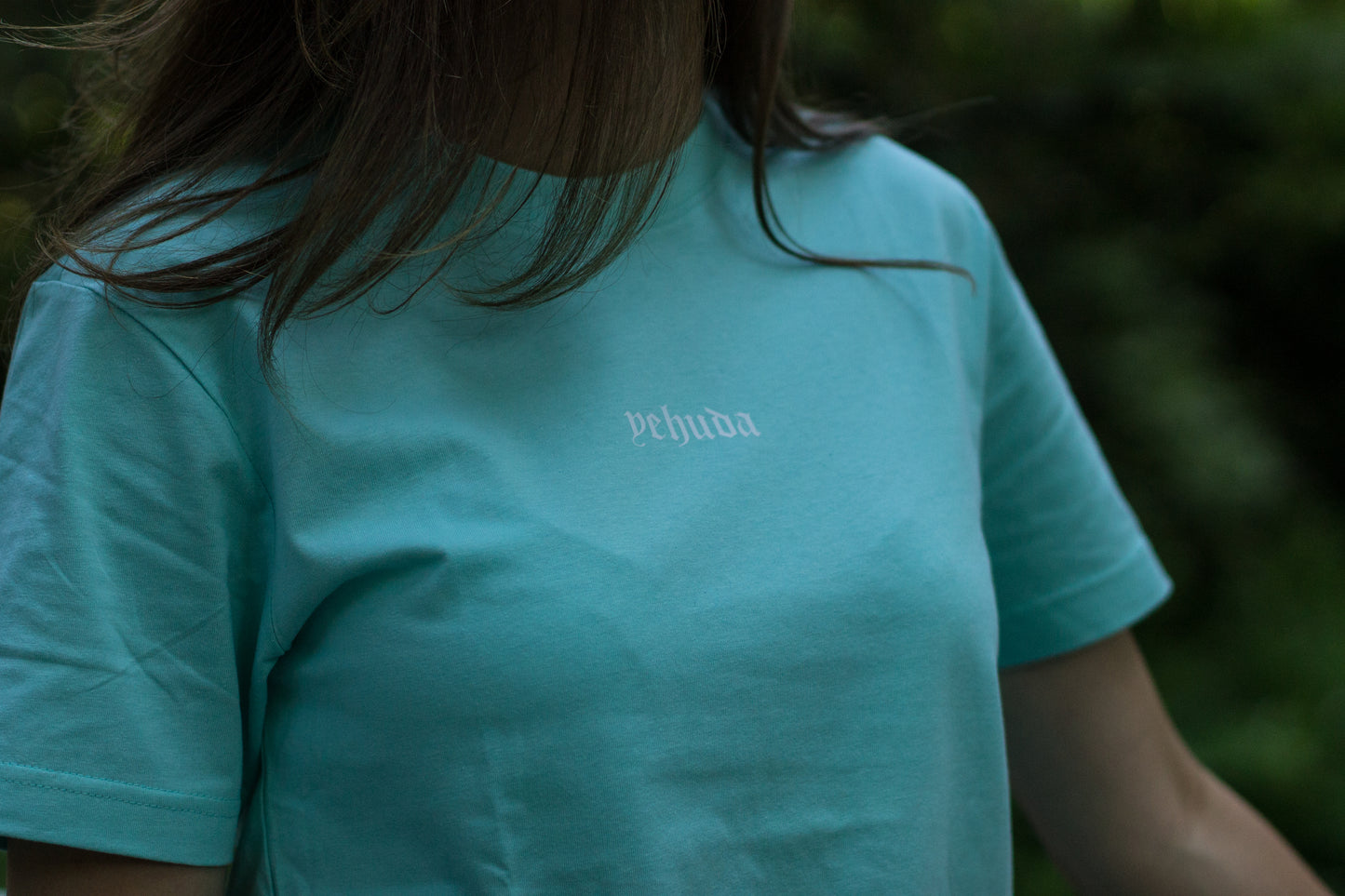 Philippians 4:13 - T-shirt (Beryl Blue)
